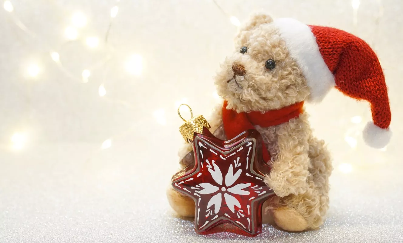 Dit is een foto van een knuffel met een kerstmuts en kerstbal.